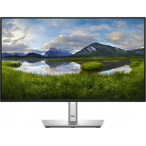 60.47cm/23.8 (1920x1080) Dell P2425H 16:9 FHD IPS 5ms 100Hz HDMI DP VGA USB-C Black/Silver