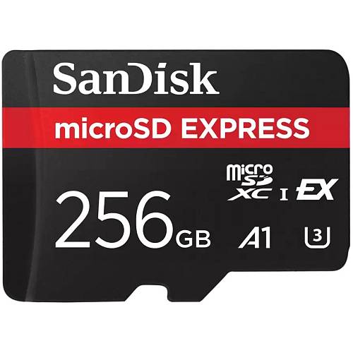 CARD EXPRESS MICRO 256GB