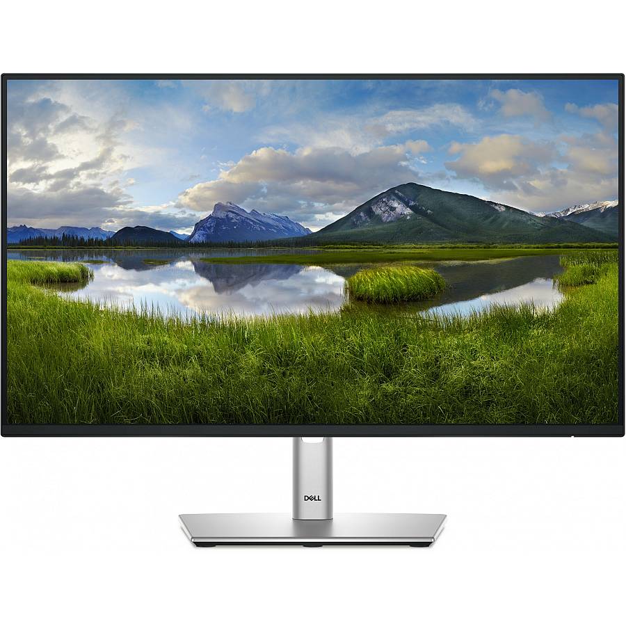 60.47cm/23.8 (1920x1080) Dell P2425H 16:9 FHD IPS 5ms 100Hz HDMI DP VGA USB-C Black/Silver