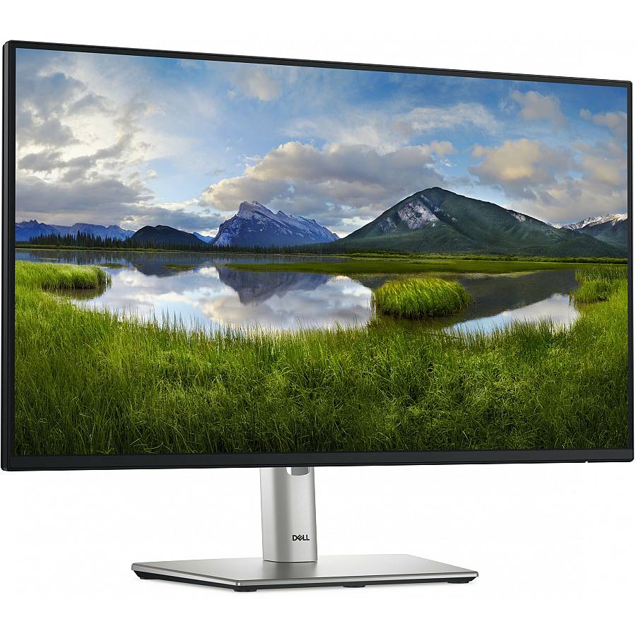 60.47cm/23.8 (1920x1080) Dell P2425H 16:9 FHD IPS 5ms 100Hz HDMI DP VGA USB-C Black/Silver